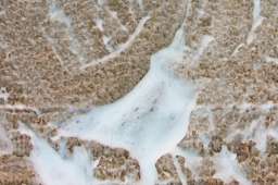 carpet-shampooing-step-dw-commercial-cleaning-singapore